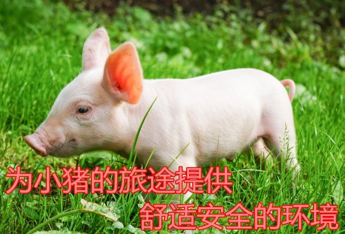畜禽豬仔運輸車(chē)價(jià)格廠(chǎng)家圖片